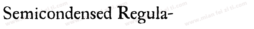 Semicondensed Regula字体转换